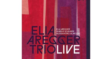 Elia Aregger Trio - LIVE