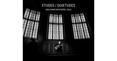 Wolfgang Muthspiel solo - Etudes / Quietudes