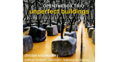 OPENTHEBOX TRIO - unperfect buildings